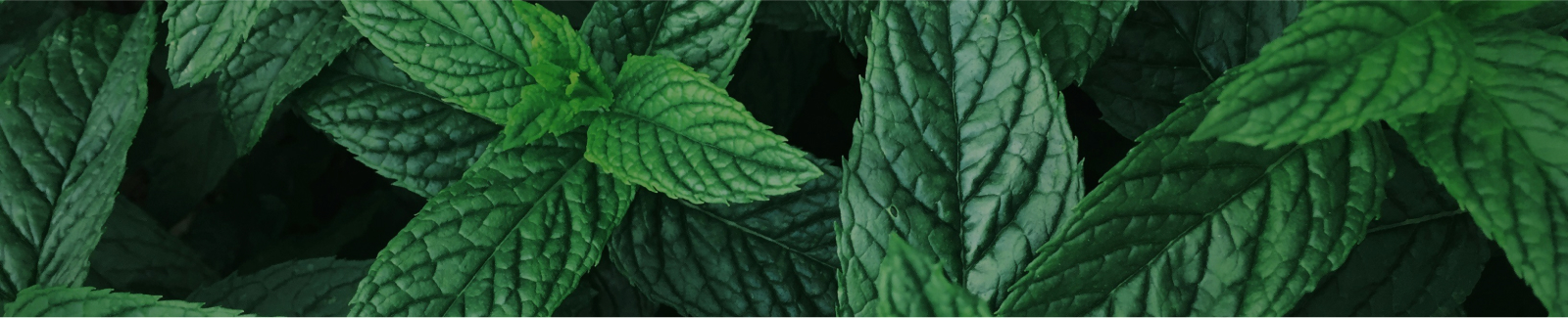 Lista della Spesa Intelligente